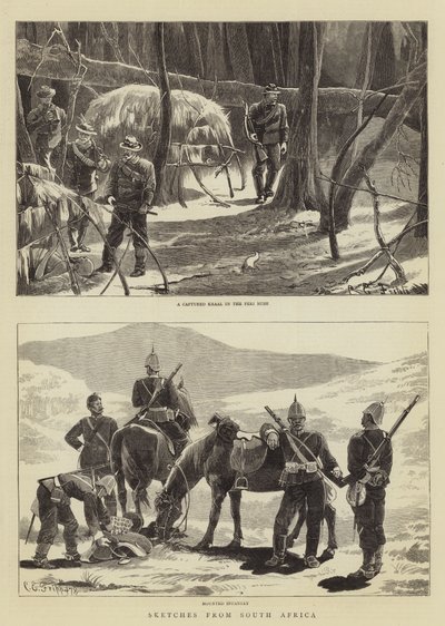Bocetos de Sudáfrica de Charles Edwin Fripp
